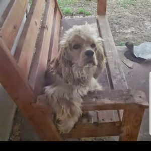 Meet your Posher, Raul